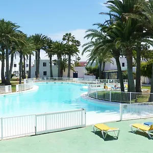 Oasis , Corralejo Spain